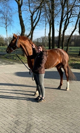 Fine und Stella